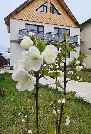 Hotel Casuta Noastra - Sulina Extérieur photo